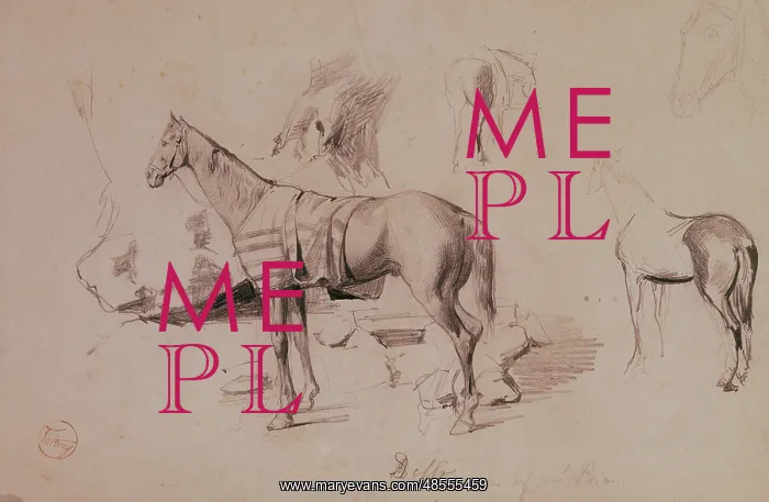 : Dello, horse of General Prim. 1860. Drawing by Mariano Fortu : Dello, horse of General Prim. 1860. Drawing by Mariano Fortu