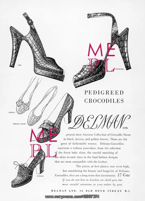  : DELMAN CROCODILE SHOES