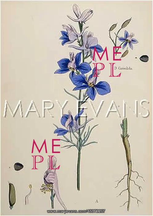  : DELPHINIUM / SOWERBY