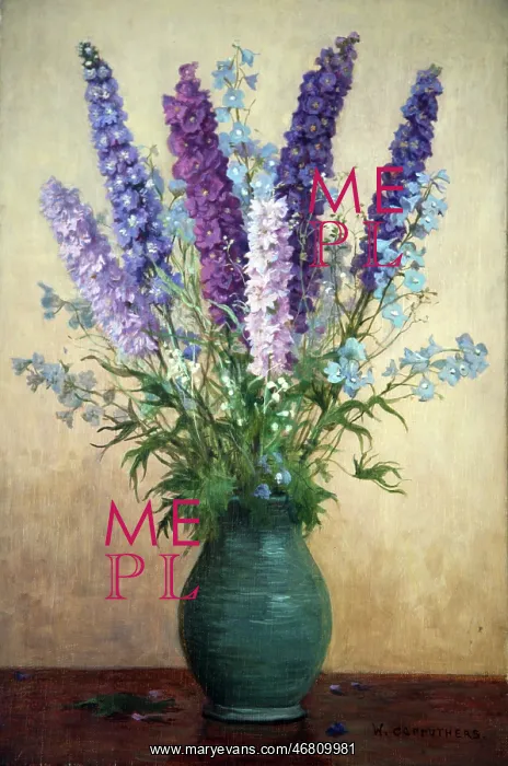  : Delphiniums