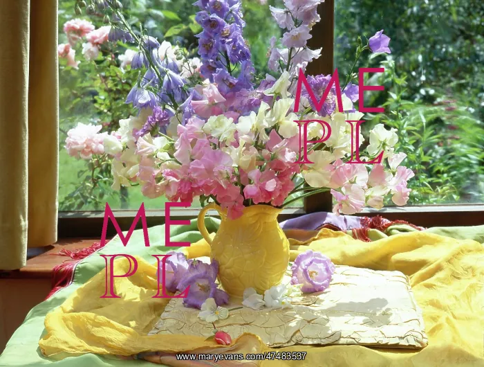  : Delphiniums and Sweet Peas