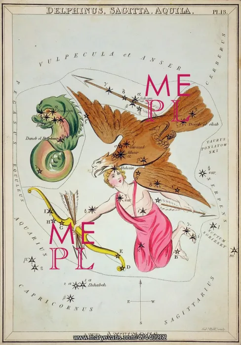 : Delphinus, Sagitta, Aquila, and Antinous : Delphinus, Sagitta, Aquila, and Antinous