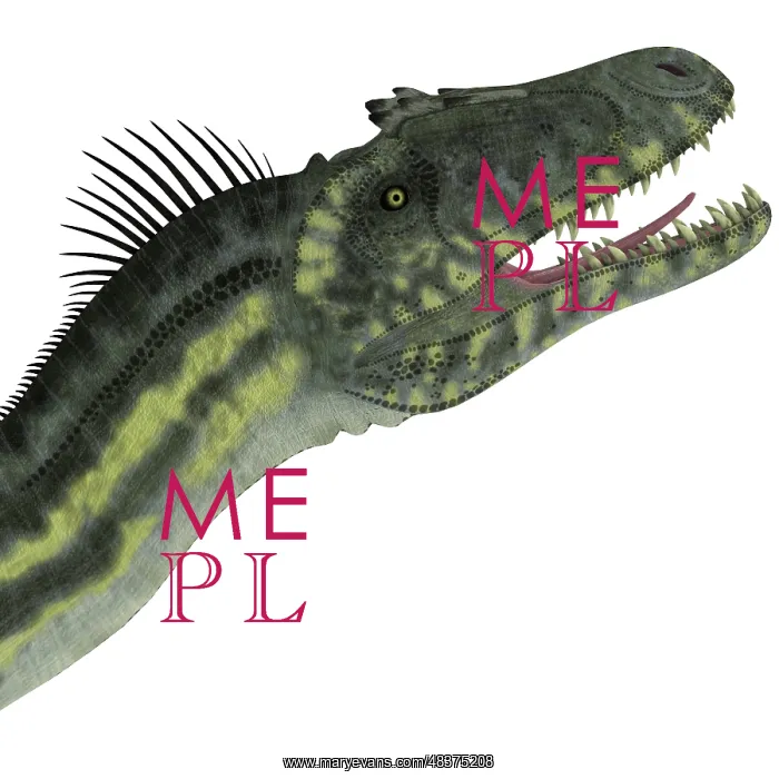 : Deltadromeus dinosaur head : Deltadromeus dinosaur head
