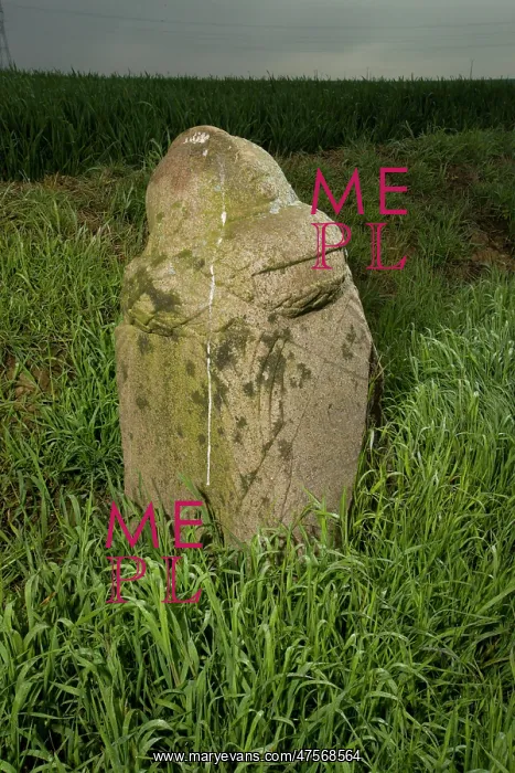 : Demarcation Stone - Somme Battlefield : Demarcation Stone - Somme Battlefield