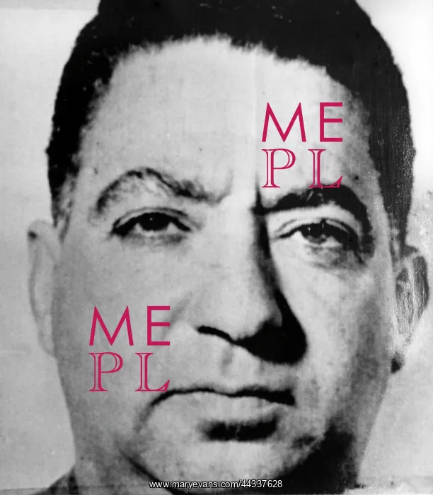 : Demitri Tsafendas - Dr Verwoerd's assassin : Demitri Tsafendas - Dr Verwoerd's assassin
