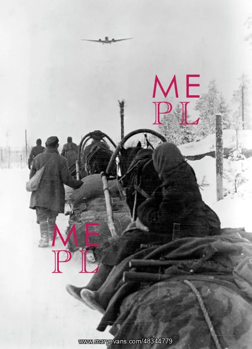 : Demjansk Pocket, 1942 : Demjansk Pocket, 1942