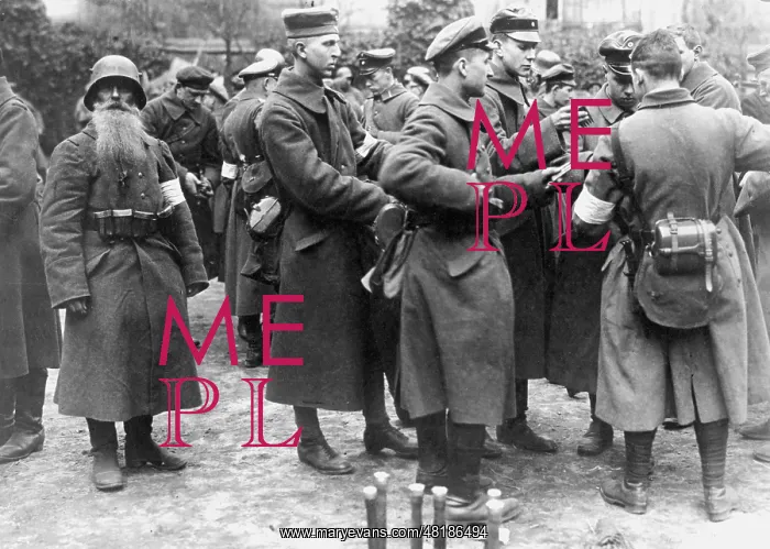 : Demobilization of volunteers, 1919 : Demobilization of volunteers, 1919