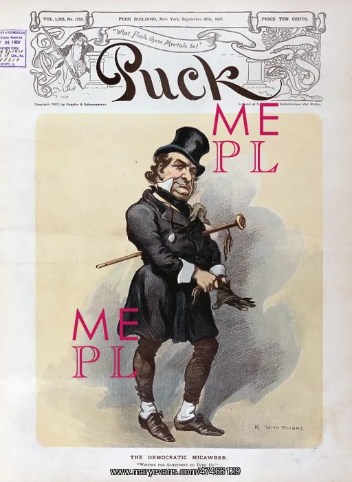 : The democratic Micawber : The democratic Micawber