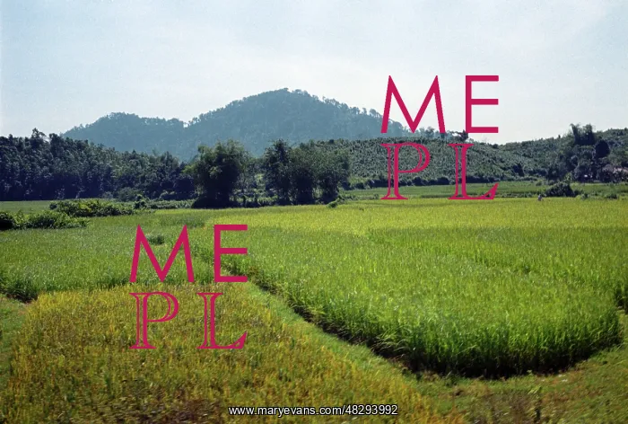 : Democratic Republic of Vietnam, 1974 : Democratic Republic of Vietnam, 1974