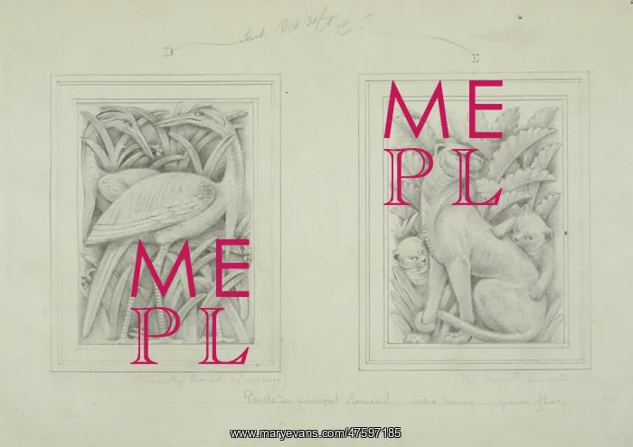 : Demoiselle and crane designs : Demoiselle and crane designs