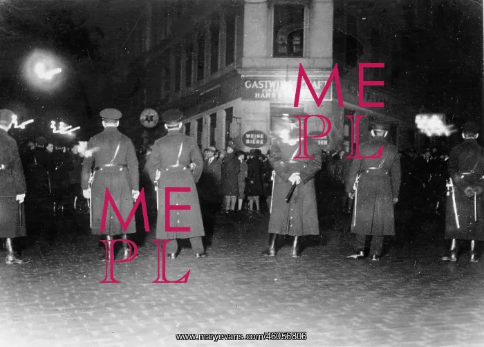 : Demonstartions of the National Socialists : Demonstartions of the National Socialists