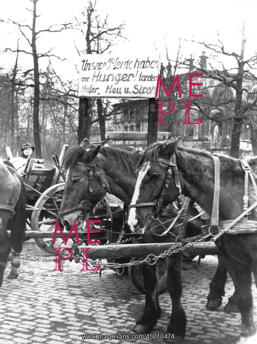 : Demonstration against canceled feed supply : Demonstration against canceled feed supply