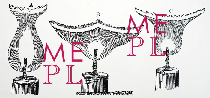 : Demonstration of the effect of magnetism on a candle flame : Demonstration of the effect of magnetism on a candle flame