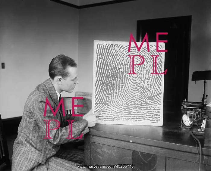 : Demonstration of a fingerprint reconstructed from : Demonstration of a fingerprint reconstructed from