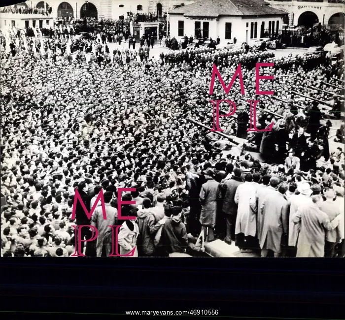 : Demonstration by French residents in Algiers : Demonstration by French residents in Algiers