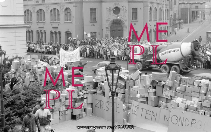 : Demonstration - government - barricade - cardboard : Demonstration - government - barricade - cardboard