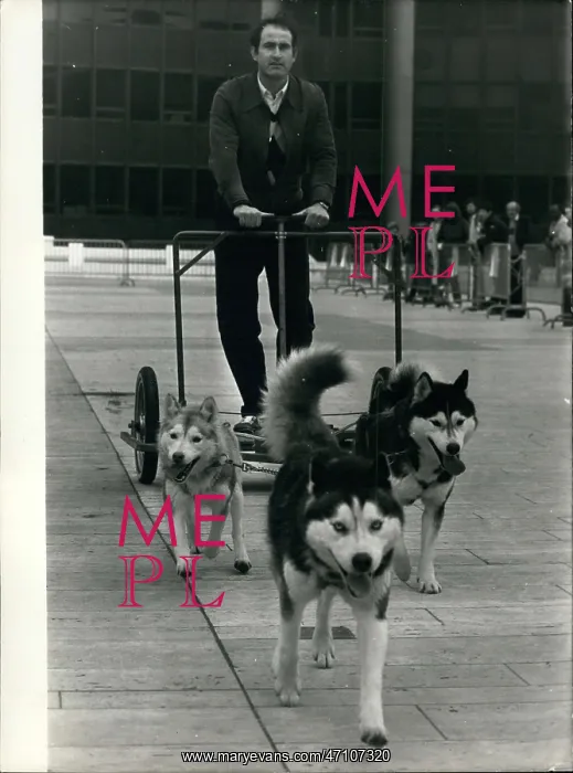 : Demonstration of huskie dog sled training, Montparnasse : Demonstration of huskie dog sled training, Montparnasse