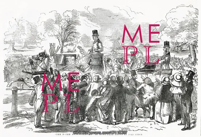 : Demonstration in Hyde-Park, London 1855 : Demonstration in Hyde-Park, London 1855