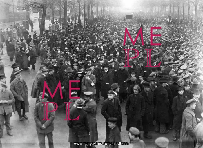 : Demonstration of Left workers in Berlin, 1919 : Demonstration of Left workers in Berlin, 1919