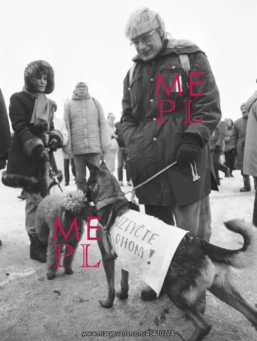: Demonstration - Letna - dog - pet : Demonstration - Letna - dog - pet