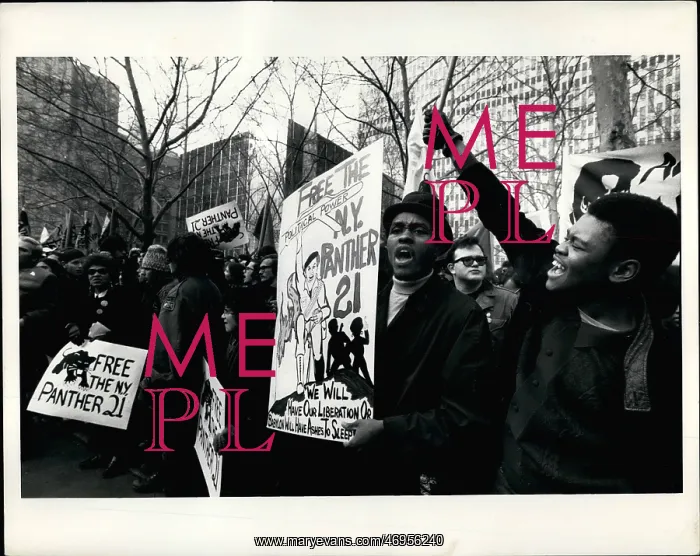: Demonstration in support of Black Panthers, New York, USA : Demonstration in support of Black Panthers, New York, USA
