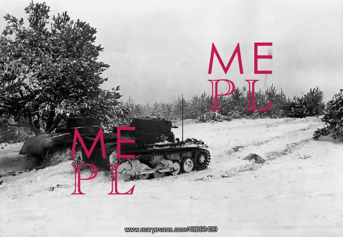 : Demonstration at a tank troop school, 1941 : Demonstration at a tank troop school, 1941