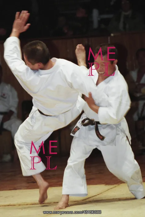 : Demonstration of traditional karate styles : Demonstration of traditional karate styles