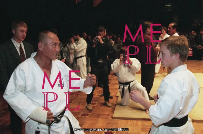: Demonstration of traditional karate styles : Demonstration of traditional karate styles