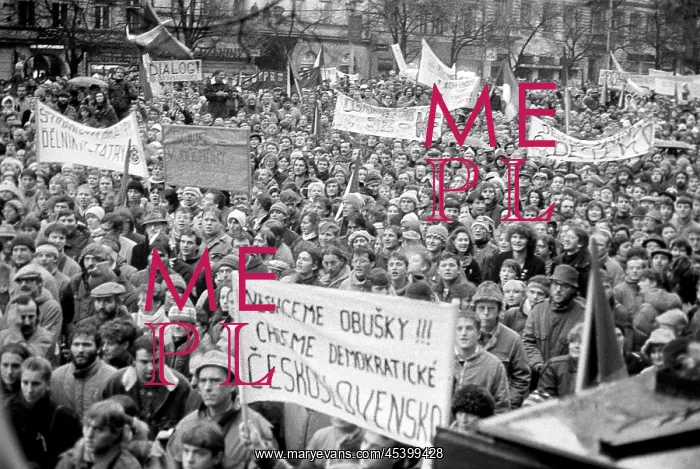 : Demonstration - Wenceslas square : Demonstration - Wenceslas square