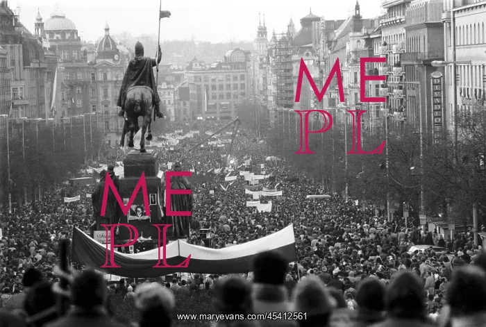 : Demonstration - Wenceslas square : Demonstration - Wenceslas square