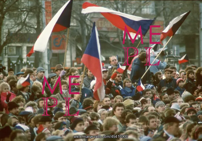 : Demonstration - Wenceslas square - Human Rights Day - flags : Demonstration - Wenceslas square - Human Rights Day - flags