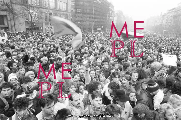 : Demonstration - Wenceslas Square - national flag : Demonstration - Wenceslas Square - national flag