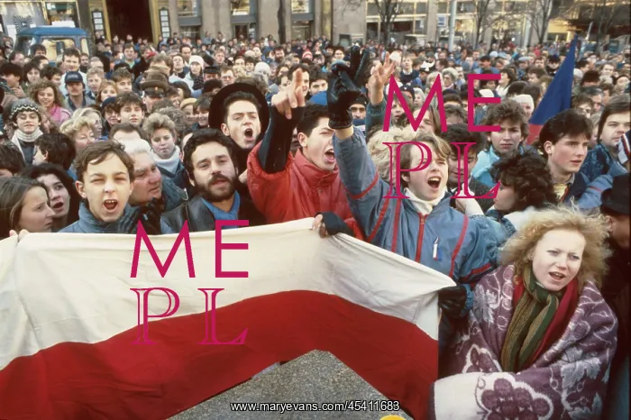 : Demonstration - Wenceslas Square - national flag : Demonstration - Wenceslas Square - national flag