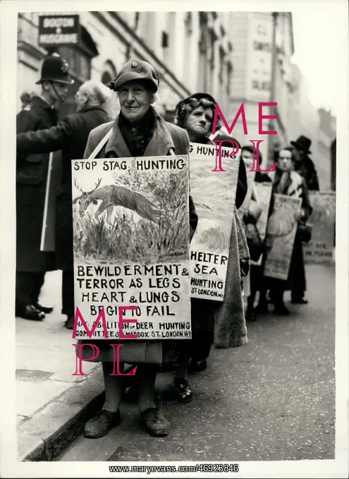 : Demonstrations : Demonstrations