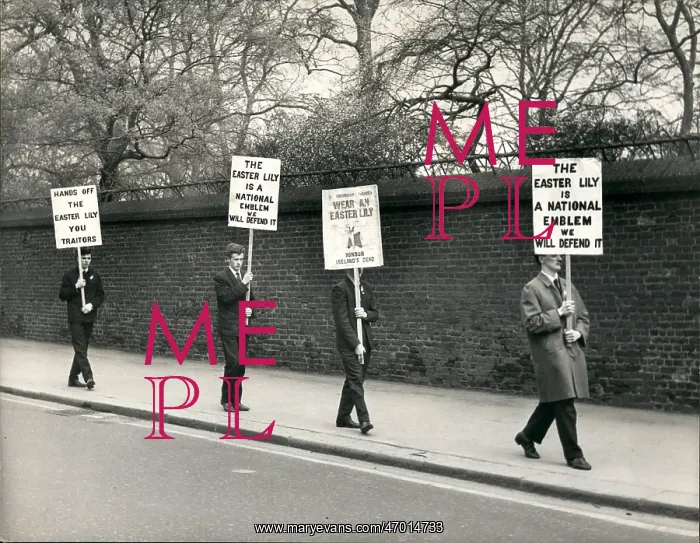 : Demonstrations : Demonstrations
