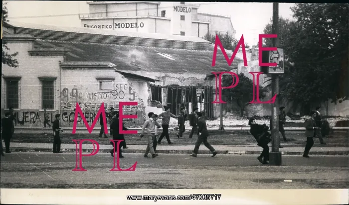 : Demonstrations : Demonstrations