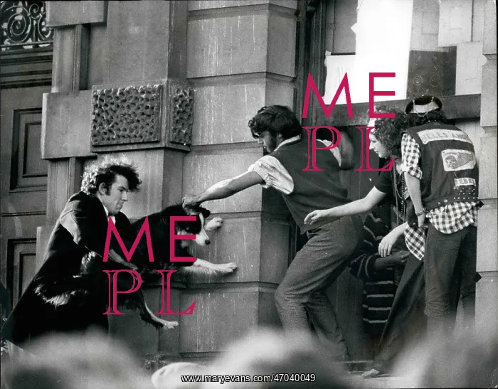: Demonstrations : Demonstrations