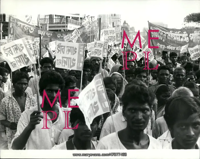 : Demonstrations : Demonstrations