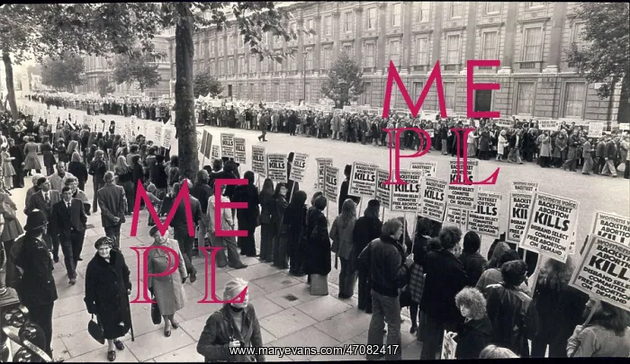 : Demonstrations : Demonstrations