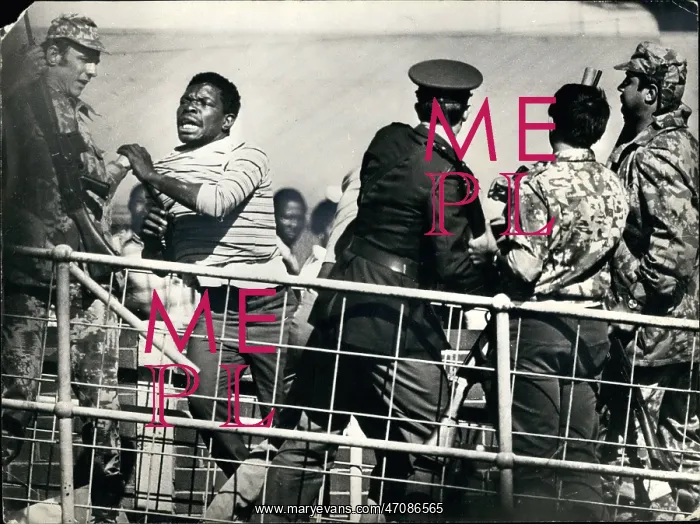 : Demonstrations : Demonstrations