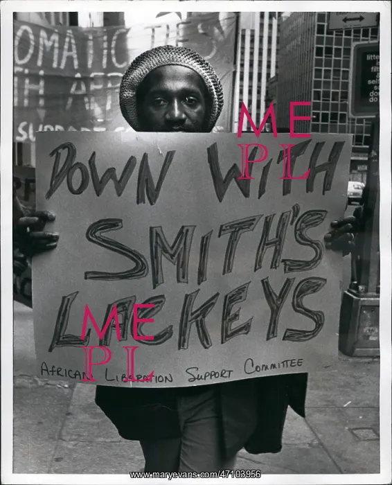 : Demonstrations : Demonstrations
