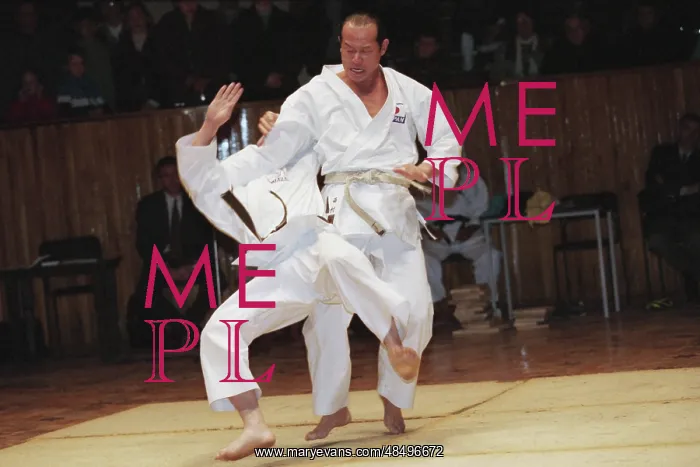 : Demonstrations of traditional styles of karate : Demonstrations of traditional styles of karate
