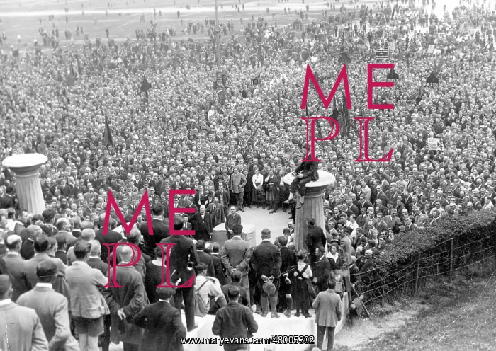 : Demonstrators in the Theresienwiese, Munich, Germany : Demonstrators in the Theresienwiese, Munich, Germany