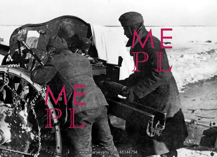 : Demyansk Pocket, 1942 : Demyansk Pocket, 1942