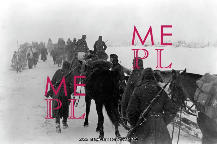: Demyansk Pocket, 1942 : Demyansk Pocket, 1942