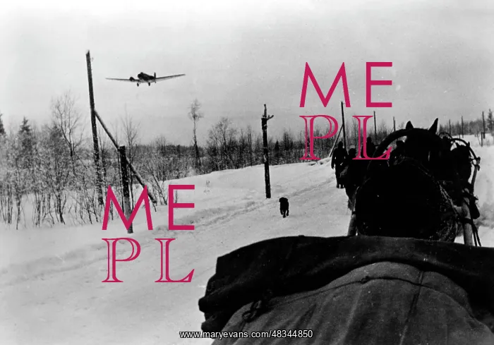  : Demyansk Pocket, 1942