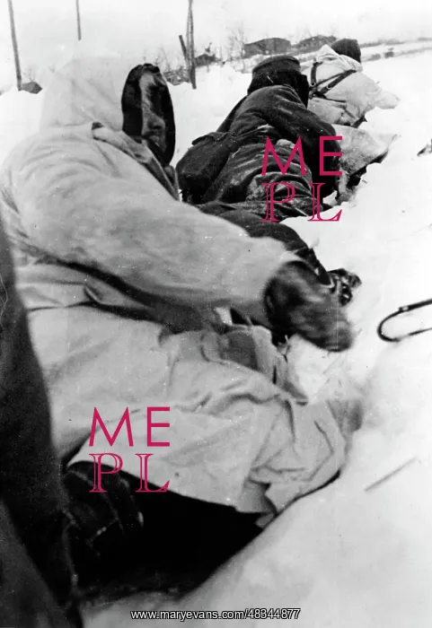 : Demyansk Pocket, 1942 : Demyansk Pocket, 1942