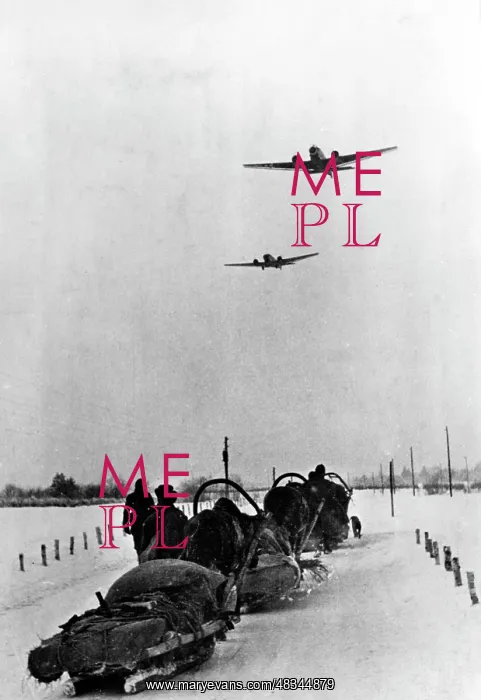 : Demyansk Pocket, 1942 : Demyansk Pocket, 1942