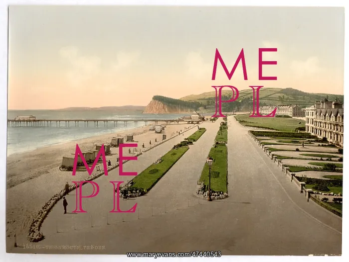 : The den, Teignmouth, England : The den, Teignmouth, England