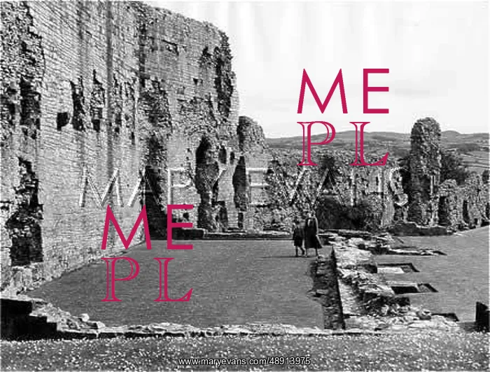 : DENBIGH CASTLE : DENBIGH CASTLE